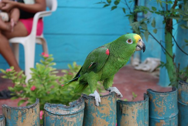 Doudou lapin beige : un câlin chic pour les enfants